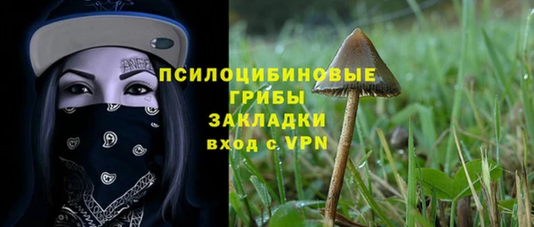 2c-b Нягань