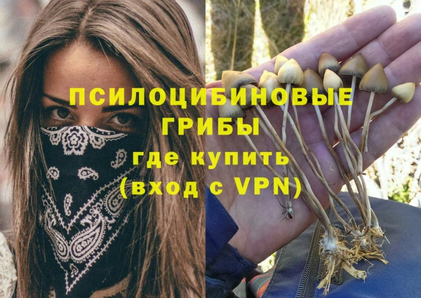 ПСИЛОЦИБИНОВЫЕ ГРИБЫ Нязепетровск