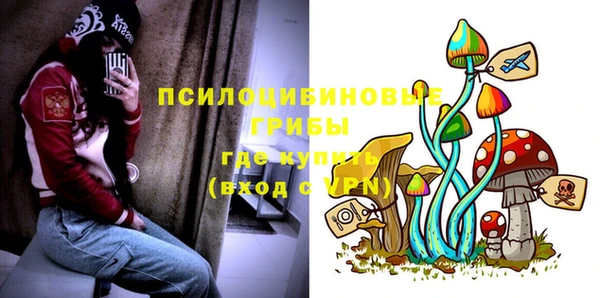 ПСИЛОЦИБИНОВЫЕ ГРИБЫ Нязепетровск