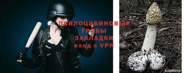 ПСИЛОЦИБИНОВЫЕ ГРИБЫ Нязепетровск