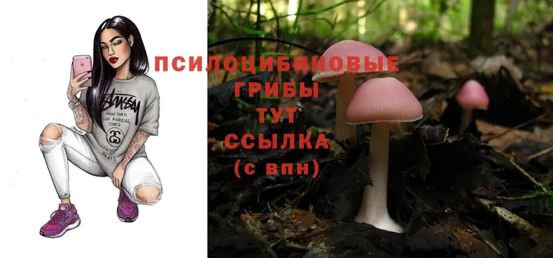 Галлюциногенные грибы Magic Shrooms  Тулун 