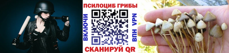 дарк нет телеграм  Тулун  Галлюциногенные грибы Magic Shrooms 