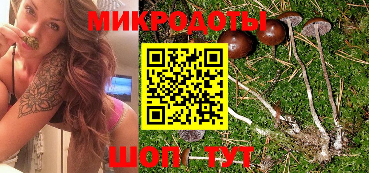 купить наркотики сайты  Галлюциногенные грибы мицелий  Вход с VPN  Тулун 