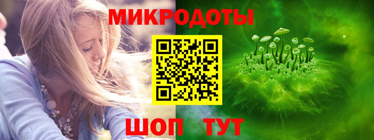 Галлюциногенные грибы Cubensis Тулун